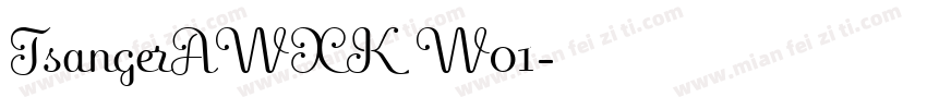 TsangerAWXK W01字体转换